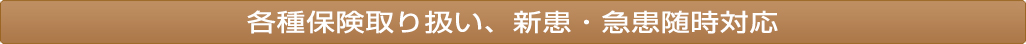 各種保険取り扱い、新患・急患随時対応